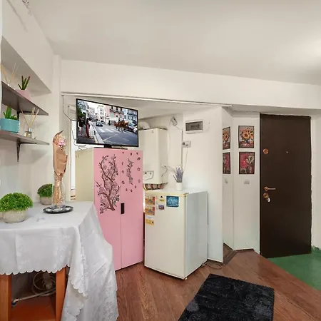 Casa Andu 公寓 布加勒斯特