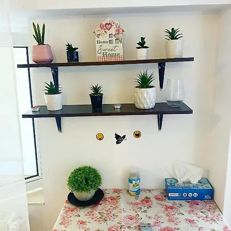 公寓 Casa Andu 布加勒斯特