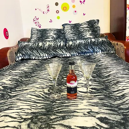 Casa Andu Lejlighed *