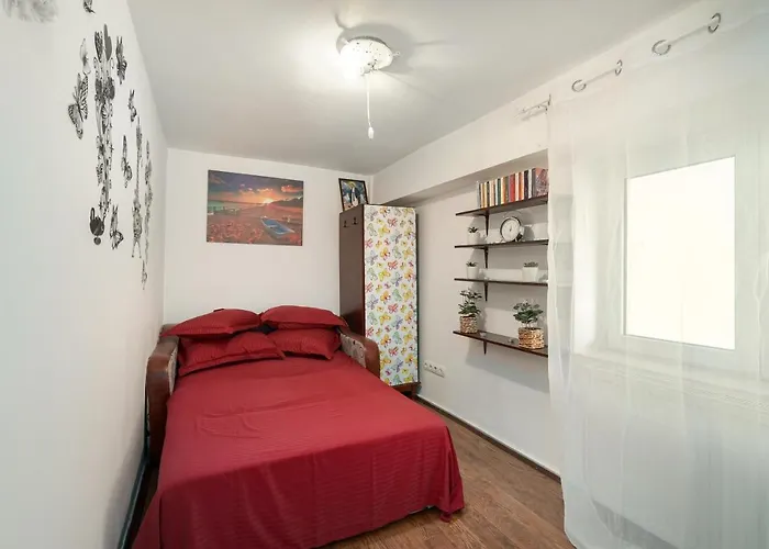 Apartament Casa Andu *